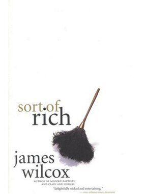 Sort of Rich James Wilcox New York times notable book of Year